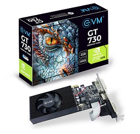 4GB GRAPHICS CARD GT730 EVM